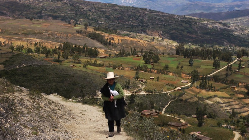 Libri e nuvole su caravellafilm.com