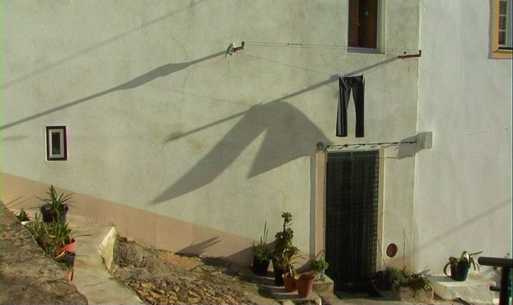 Tradurre - Pier Paolo Giarolo